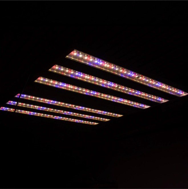 PHY-6M-1960-PPF-02