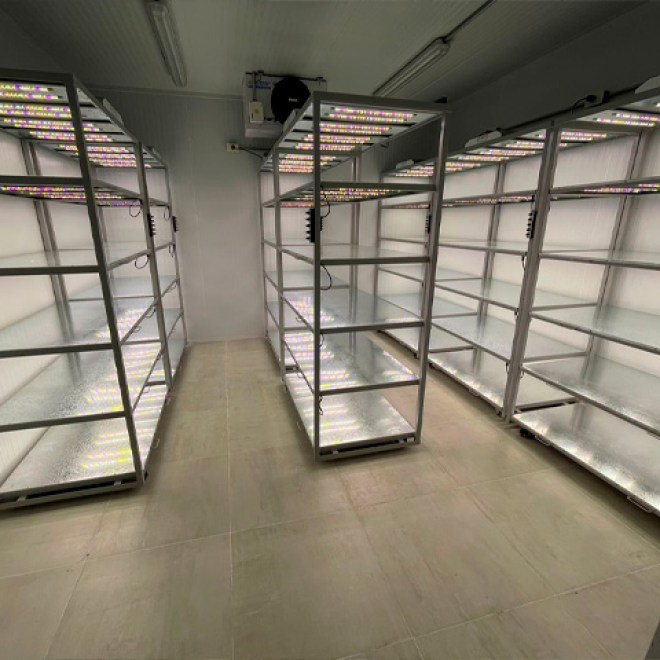 rack-phitology-06