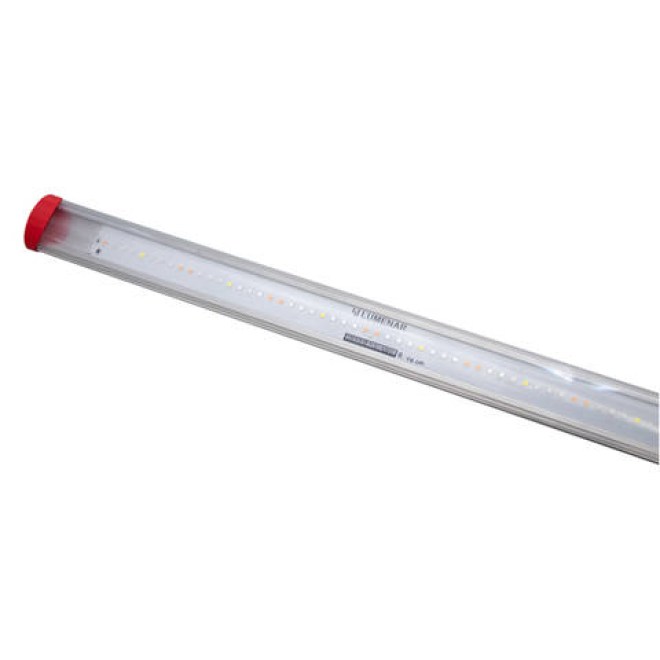 tubo-t8-06