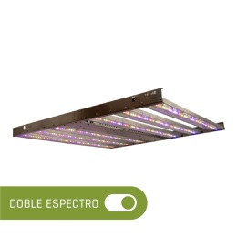 PHY-6MD 2280 PPF Doble espectro